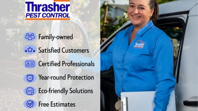 El-Cajon-Pest-Control_Thrasher-Pest-Control