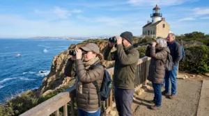 Sunset Cliffs Natural Park